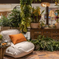 D&D Shopping Mostra Garden Design
