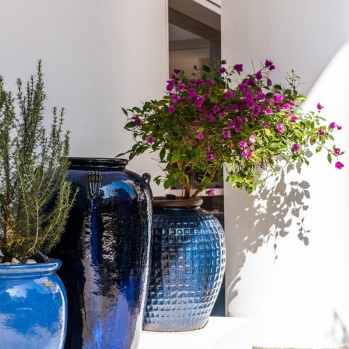 Organne Vasos Decor apresenta instalação Jardim Oásis na DW!, com vegetação exuberante, composições de vasos incríveis e clima de absoluto relax | Foto: Divulgação