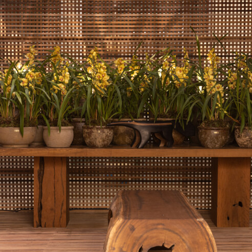 Móveis desenvolvidos pela Areka'a imprimem a beleza natural da madeira ao design | Foto: Divulgação
