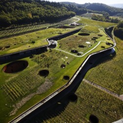 Divulgação Archea_Antinori Winery_Crédito Pietro Savorelli_6_DW (1)