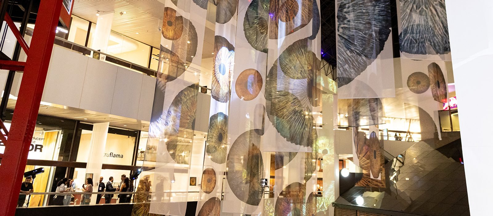 Três exposições preparadas para a DW! SP 2025 agitam o fim de semana no ...