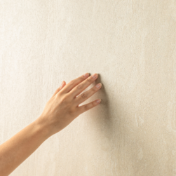 Design sem nome (59)