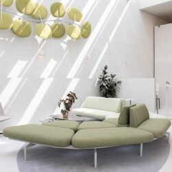 Galeria minisite DW - Jelly