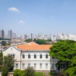 Alma Mater - Alfa Realty