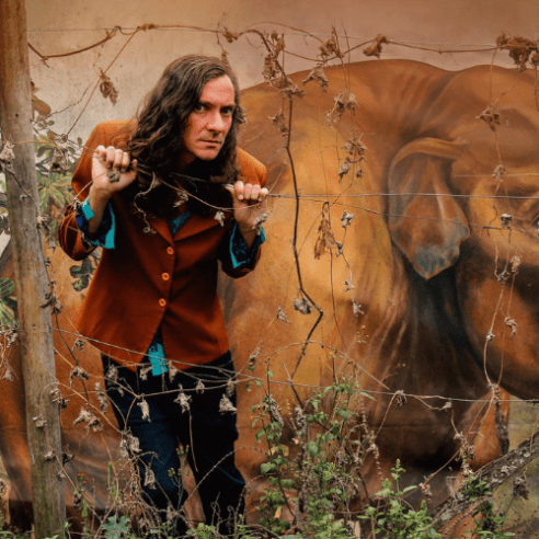 Feed 2 (50 x 50 px) (1)