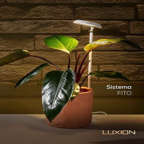 WhatsApp Image 2026-02-27 at 10.44.57_resized