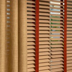 WhatsApp Image 2026-03-06 at 12.08.30 (1)