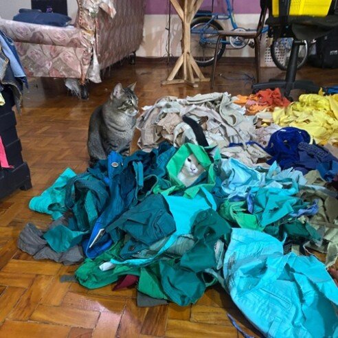 500x500_Oca_Estudio_Marca_5_-_sem_créditos