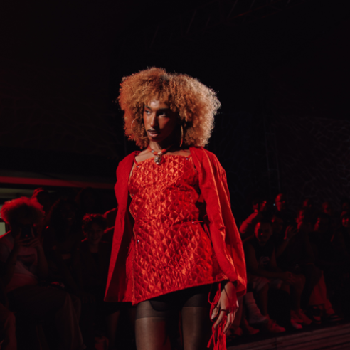 500x500_topcrop2_por @vxldinei (3)