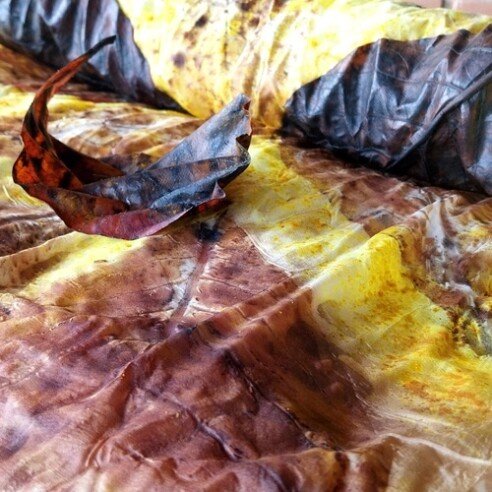 Ant processo imp Irene Flesch _500x500