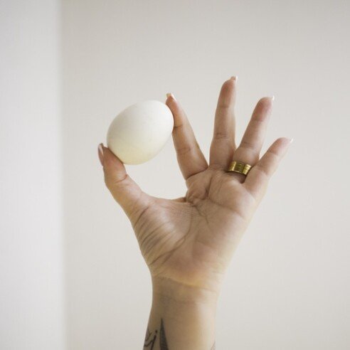 Casca de ovo - foto_ Deborah Raposo_500x500