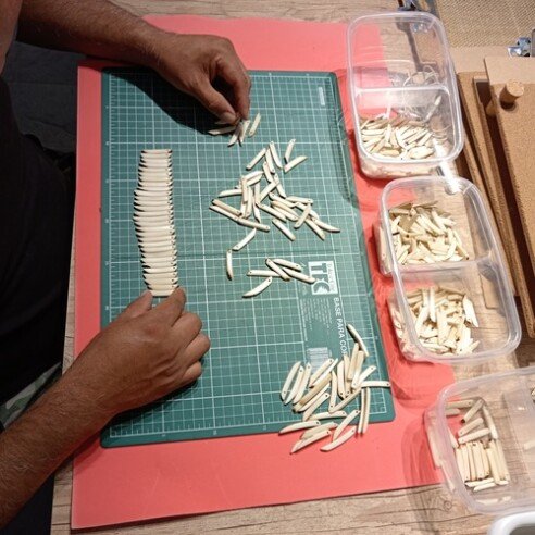 Las Tribus Biojoias(3)_500x500