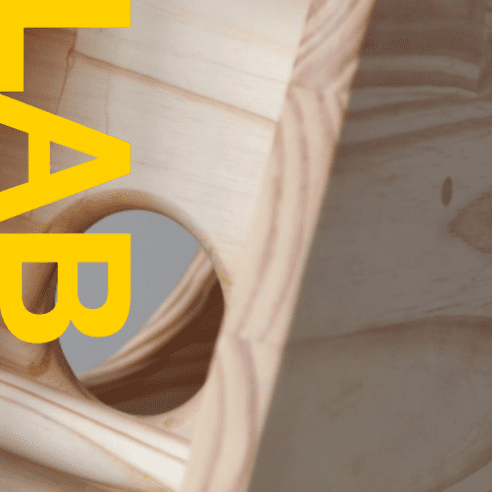 casa_de_passarinho (c)