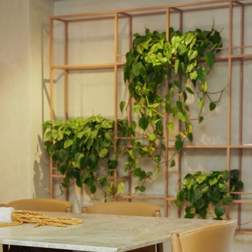 AMBIENTES SHOWROOM SCA-54 (1)